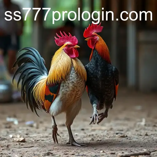 Discover the World of Sabong Games: An Insight into the Traditional Sport and the Modern ss777 pro login Experience